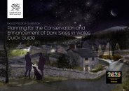 Good practice guidance: planning for the conservation and enhancement of dark skies in Wales. Quick guide